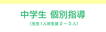 中学生 個別指導（先生１人対生徒２～３人）